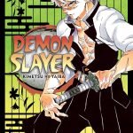 MANGA DEMON SLAYER Vol. 17 (Demon Slayer Volume.17: Kimetsu no Yaiba)