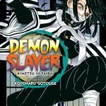 MANGA DEMON SLAYER Vol. 19 (Demon Slayer Volume.19: Kimetsu no Yaiba)