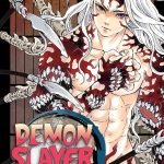 MANGA DEMON SLAYER Vol. 22 (Demon Slayer Volume.22: Kimetsu no Yaiba)