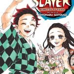 MANGA DEMON SLAYER Vol. 23 (Demon Slayer Volume.23: Kimetsu no Yaiba)
