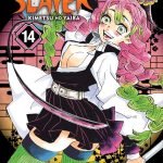 MANGA DEMON SLAYER Vol. 14 (Demon Slayer Volume.14: Kimetsu no Yaiba)