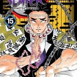 MANGA DEMON SLAYER Vol. 15 (Demon Slayer Volume.15: Kimetsu no Yaiba)